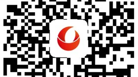 杨明洋强调团队默契非，开云平台体验，难题，塞尔吉尼奥信心满满将超越自我